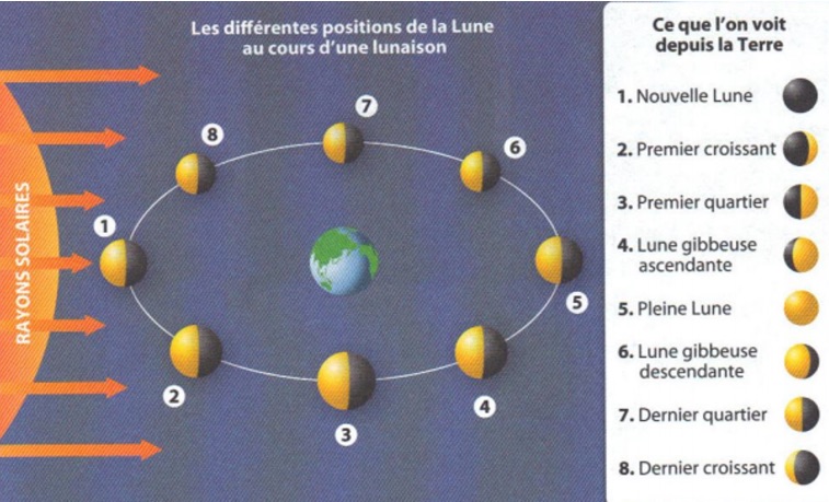 Les phases de la Lune