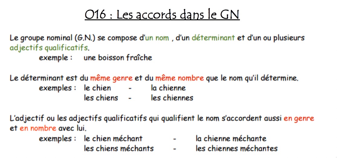 You are currently viewing Leçon Orthographe O16 : L’accord dans le groupe nominal (GN)