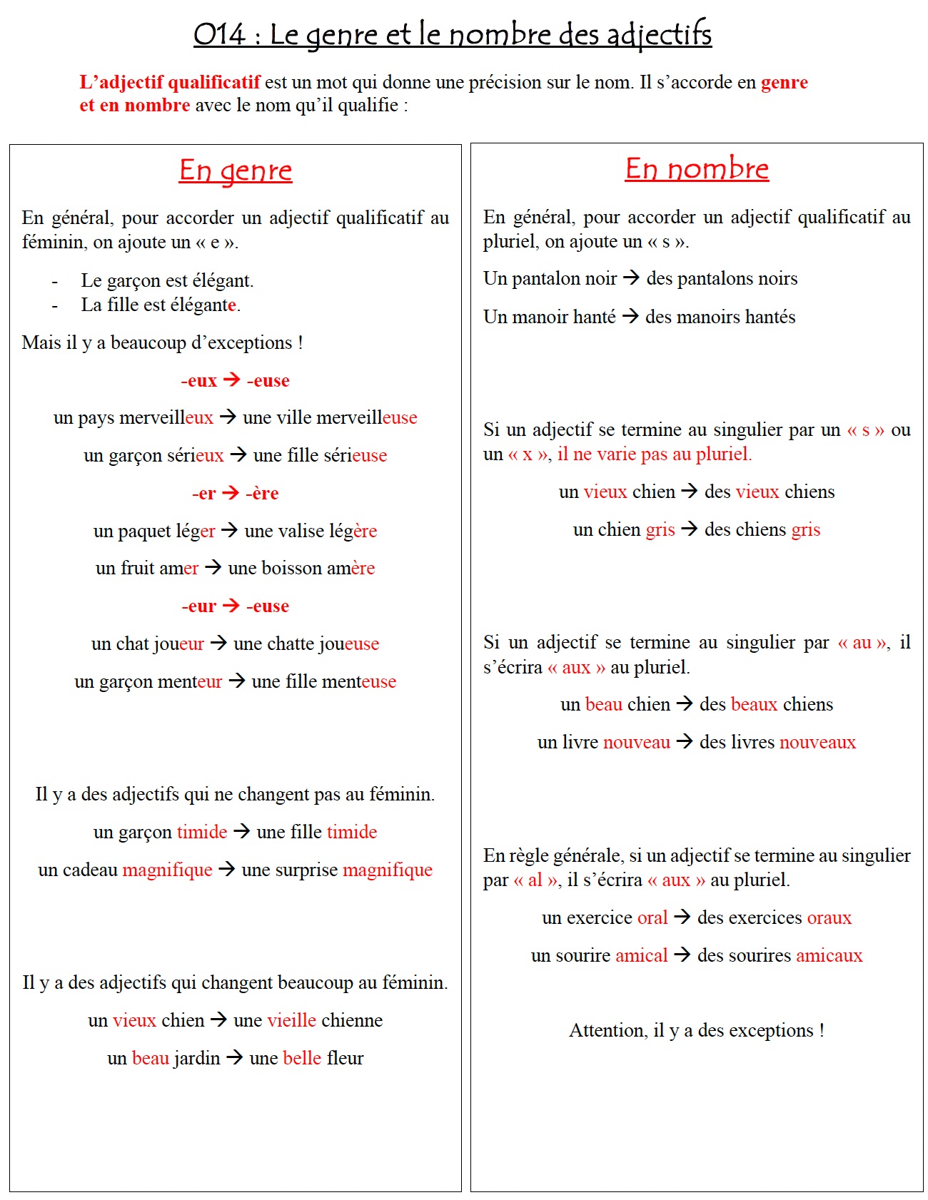 You are currently viewing Leçon Orthographe O14 : L’accord des adjectifs en genre et en nombre
