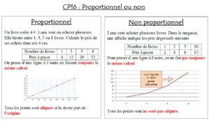 Lire la suite à propos de l’article Leçon Calculs-Problème CP16 : proportionnel ou non?