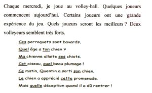 Lire la suite à propos de l’article G13 Les déterminants indéfinis (approche)