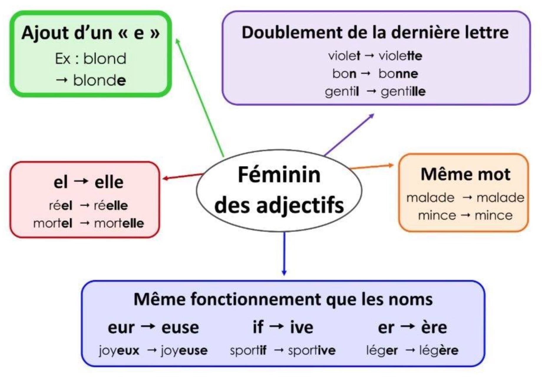 You are currently viewing O14 L’accord des adjectifs en genre : approche et carte mentale