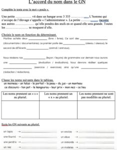 Lire la suite à propos de l’article O12-O13 : Le pluriel des noms, exercices Série 1
