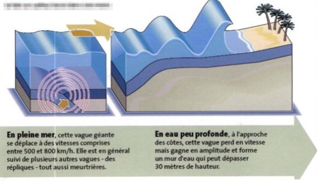 Tsunamis