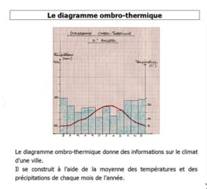 Lire la suite à propos de l’article Géo 8 : Le diagramme ombrothermique (climatique)