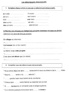 Lire la suite à propos de l’article G13 : Les déterminants démonstratifs, exercices Série 1
