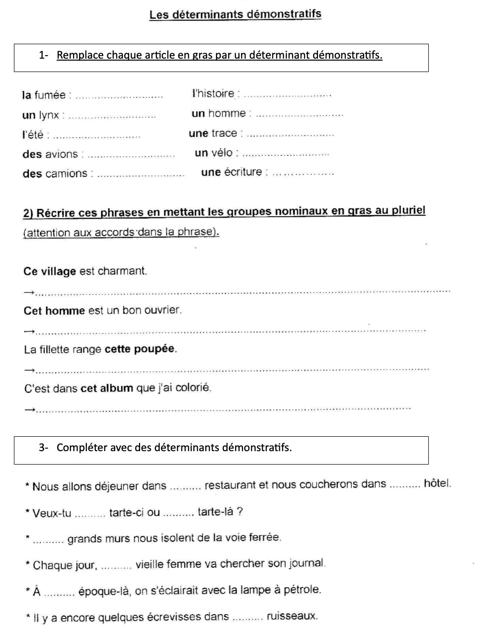 Lire la suite à propos de l’article G13 : Les déterminants démonstratifs, exercices Série 1