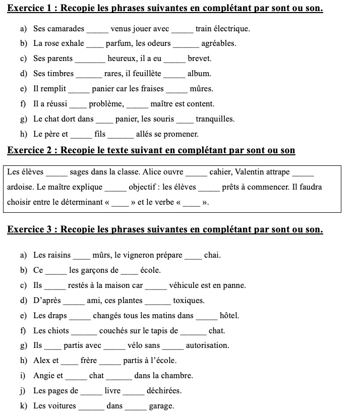 Les homophones son sont