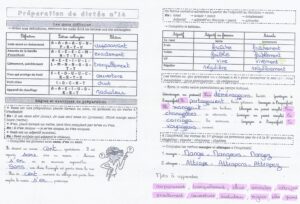 Lire la suite à propos de l’article Préparation Dictée n°14