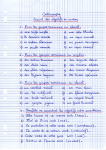 Lire la suite à propos de l’article O14 L’accord des adjectifs en nombre : exercices Série 2