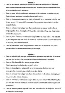 Lire la suite à propos de l’article G14 Les adjectifs : approche sur les adjectifs