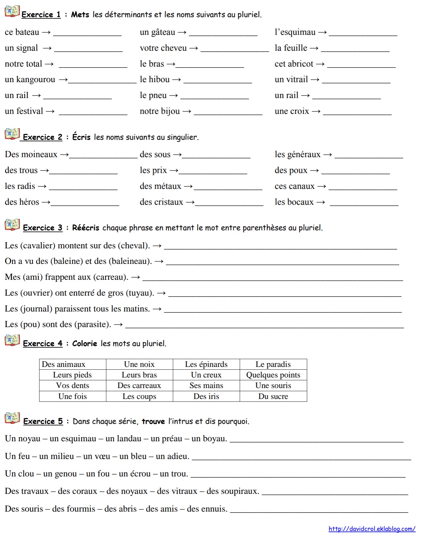 You are currently viewing O12-O13 : Le pluriel des noms, exercices Série 4 (Classe de Crol)