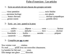 Lire la suite à propos de l’article G13 : Les articles, exercices Série 4