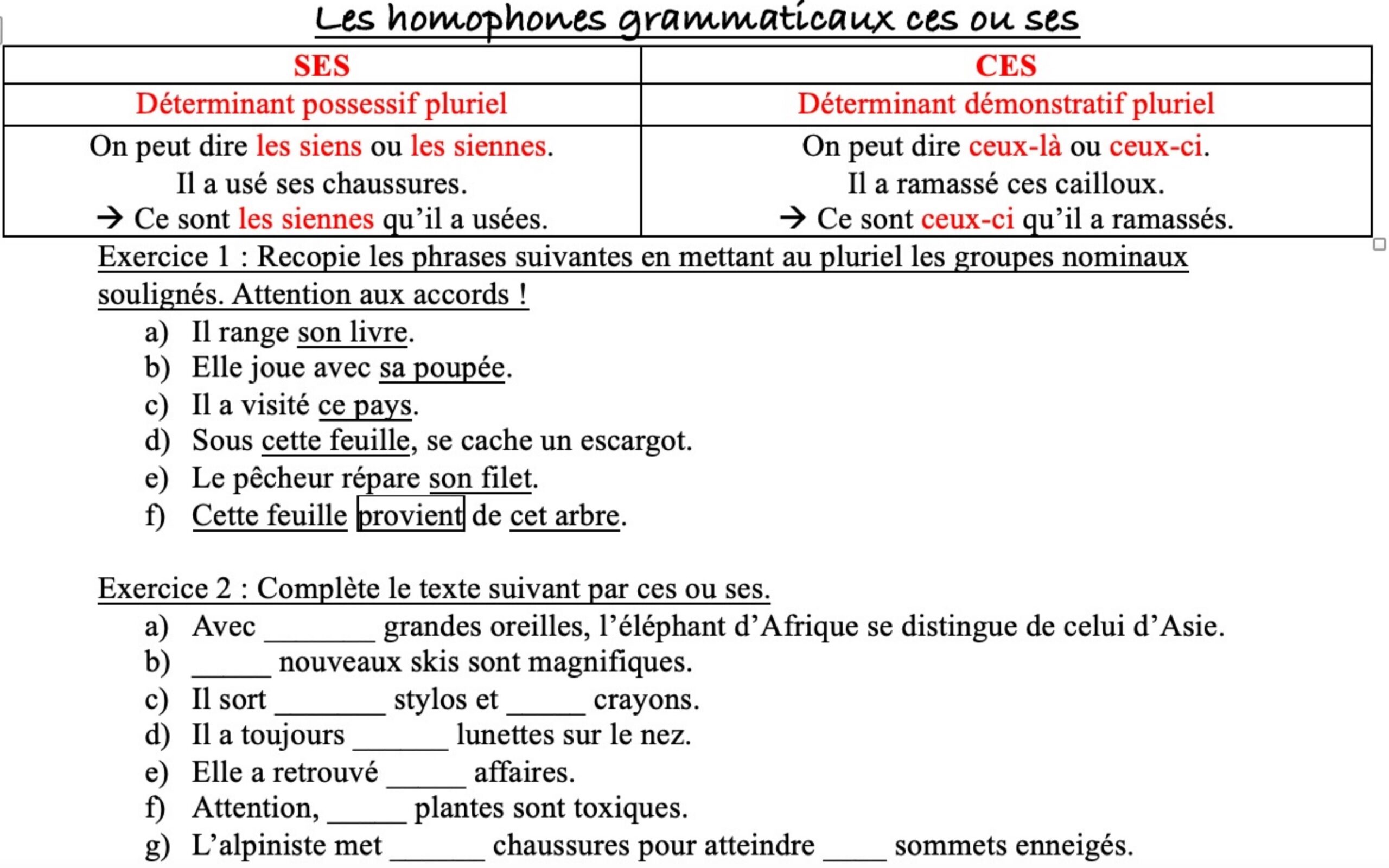 Lire la suite à propos de l’article HG8 Les homophones ces – ses : exercices Série 2
