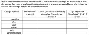 Lire la suite à propos de l’article G13 : Les déterminants possessifs (approche)