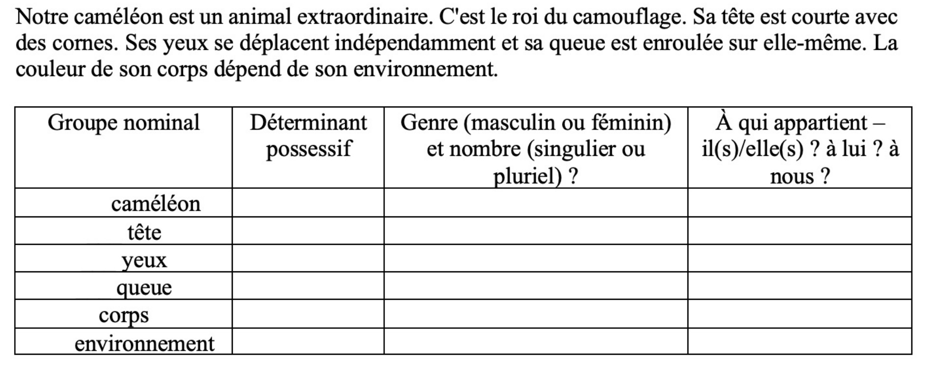 Lire la suite à propos de l’article G13 : Vidéo sur les déterminants possessifs