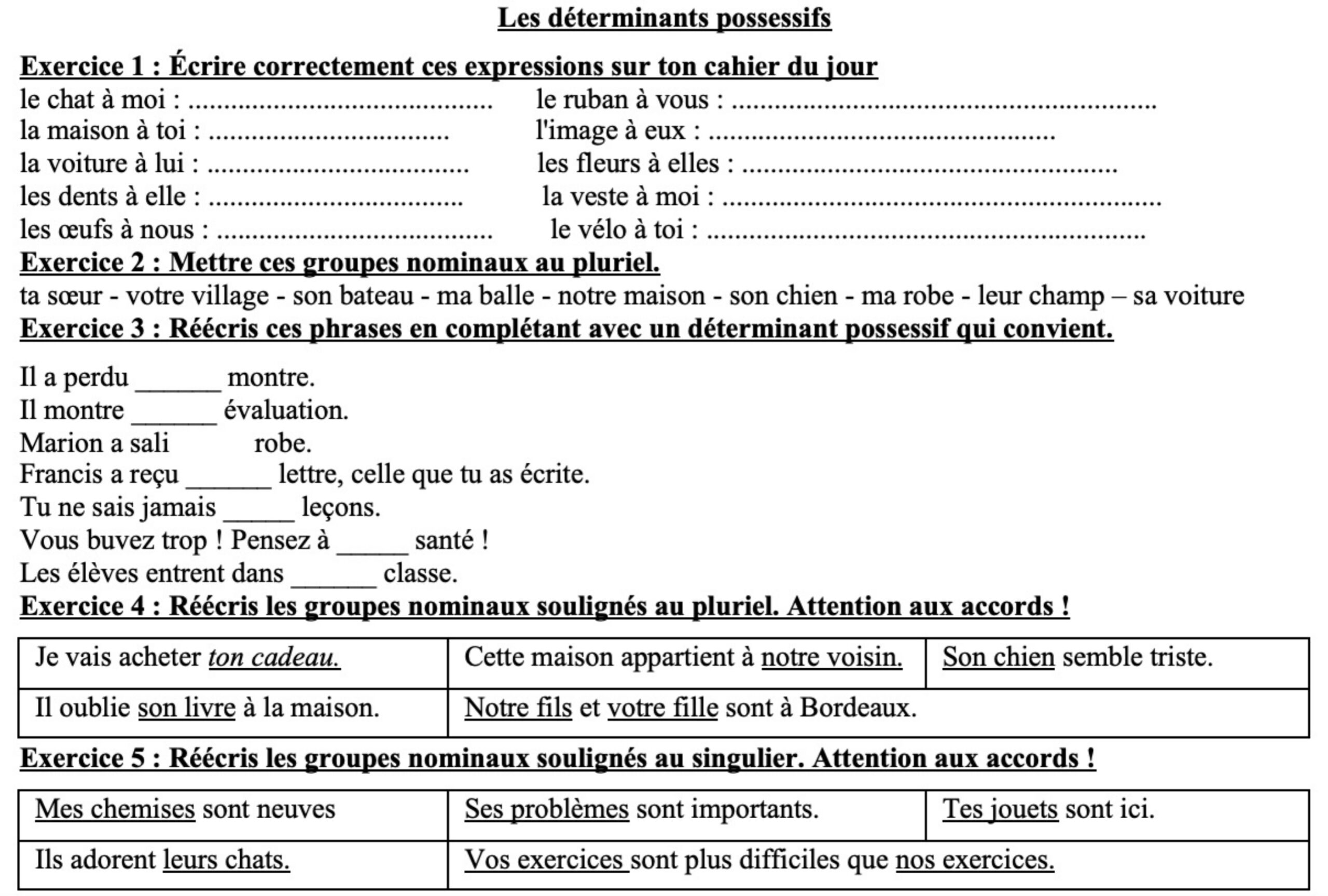Lire la suite à propos de l’article G13 : Les déterminants possessifs : exercices Série 1