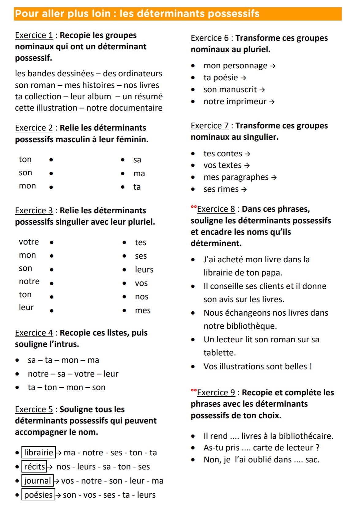 Lire la suite à propos de l’article G13 : Les déterminants possessifs, exercices Série 2
