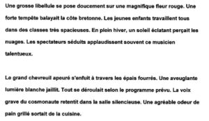 Lire la suite à propos de l’article G14 Les adjectifs : repérer les adjectifs Série 3