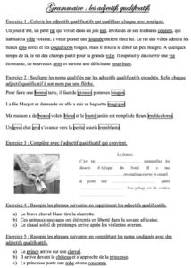 Lire la suite à propos de l’article G14 Les adjectifs : manipuler les adjectifs Série 3