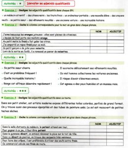 Lire la suite à propos de l’article G14 Les adjectifs : manipuler les adjectifs Série 3 (Classe de Crol)