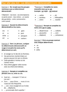 Lire la suite à propos de l’article G13 Vidéos sur les déterminants démonstratifs