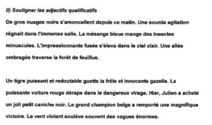 Lire la suite à propos de l’article G14 Les adjectifs : repérer les adjectifs Série 4