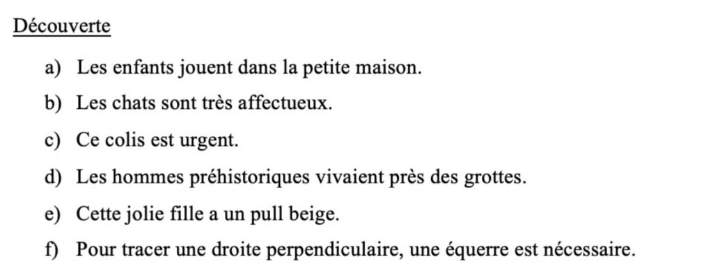 Phrases pour évoquer les fonction des adjectifs