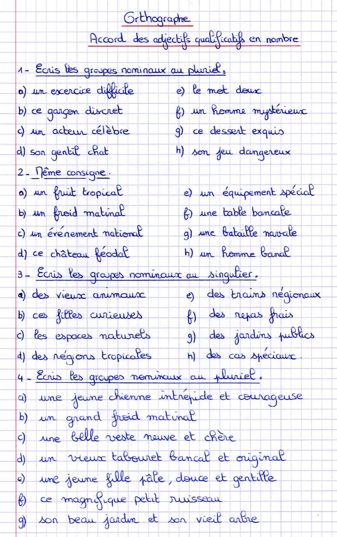 You are currently viewing O14 L’accord des adjectifs en nombre : exercices Série 1