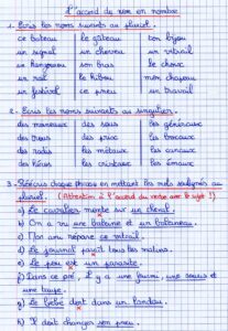 Lire la suite à propos de l’article O12-O13 : Le pluriel des noms, exercices Série 3