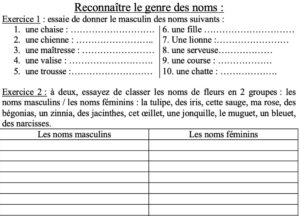 Lire la suite à propos de l’article O10 Le genre des noms, approche
