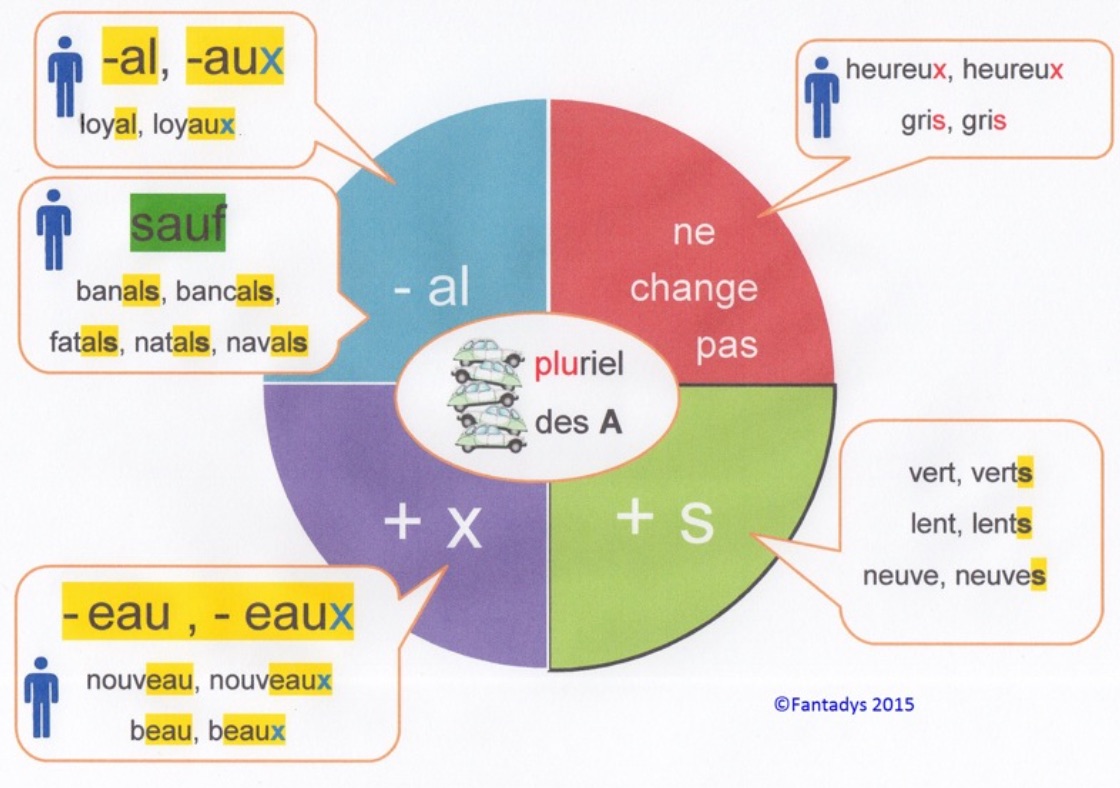 You are currently viewing O14 L’accord des adjectifs en nombre : approche, vidéo et carte mentale