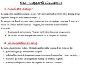 Lire la suite à propos de l’article Leçon CM2 Sciences S16 : La circulation sanguine
