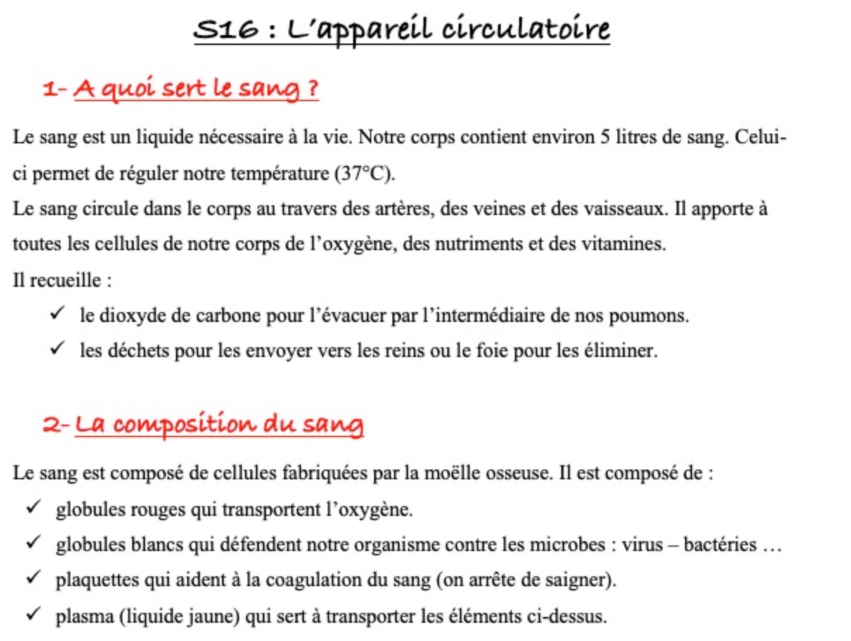 Lire la suite à propos de l’article Leçon CM2 Sciences S16 : La circulation sanguine