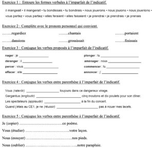 Lire la suite à propos de l’article C8/C9 L’imparfait de l’indicatif : exercices Série 1 (M Bonelli) + vidéo (La Classe Plus)