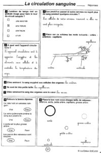Lire la suite à propos de l’article S16 La circulation sanguine : documents EDELIOS correction