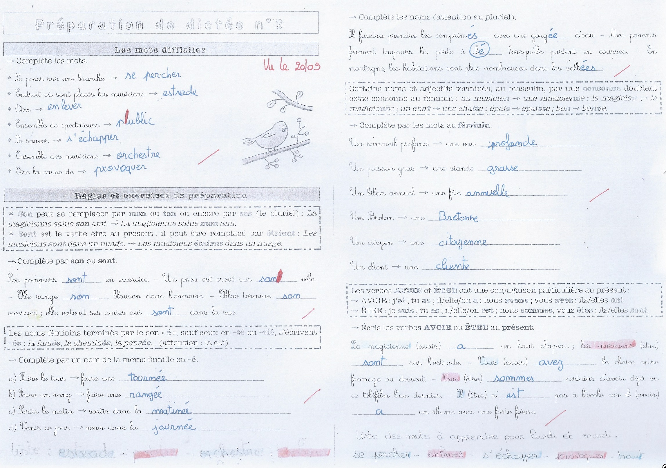 Lire la suite à propos de l’article Préparation Dictée n°3