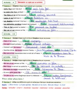 Lire la suite à propos de l’article G18 Les pronoms personnels sujets PPS : exercices Série 2 (correction)