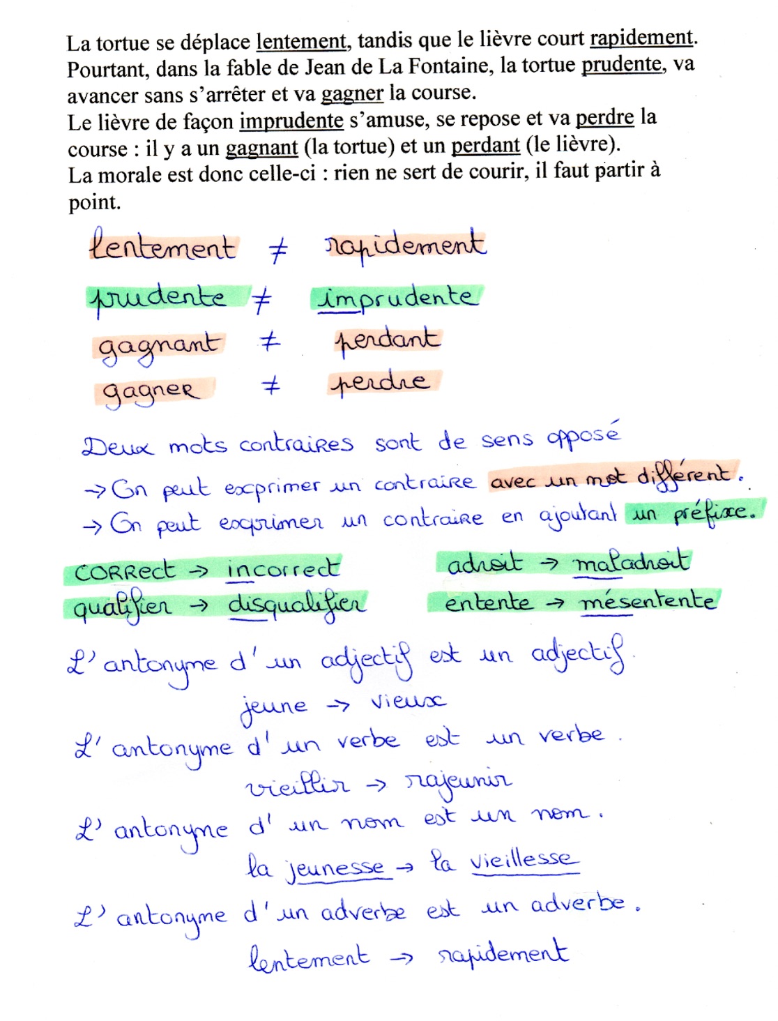 Lire la suite à propos de l’article V10 Les antonymes : approche – carte mentale (Fantadys) – vidéo (La Classe Plus)
