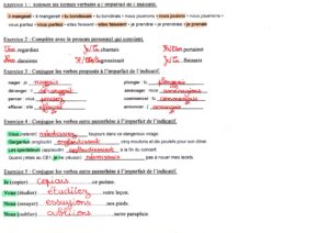 Lire la suite à propos de l’article C8/C9 L’imparfait de l’indicatif : Correction exercices Série 1 (M Bonelli)
