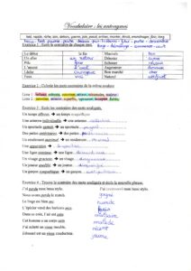 Lire la suite à propos de l’article V10 Les antonymes : exercices Série 1 correction (M Bonelli)