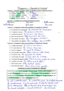 Lire la suite à propos de l’article C8/C9 L’imparfait de l’indicatif : Correction exercices Série 2 (M Bonelli)