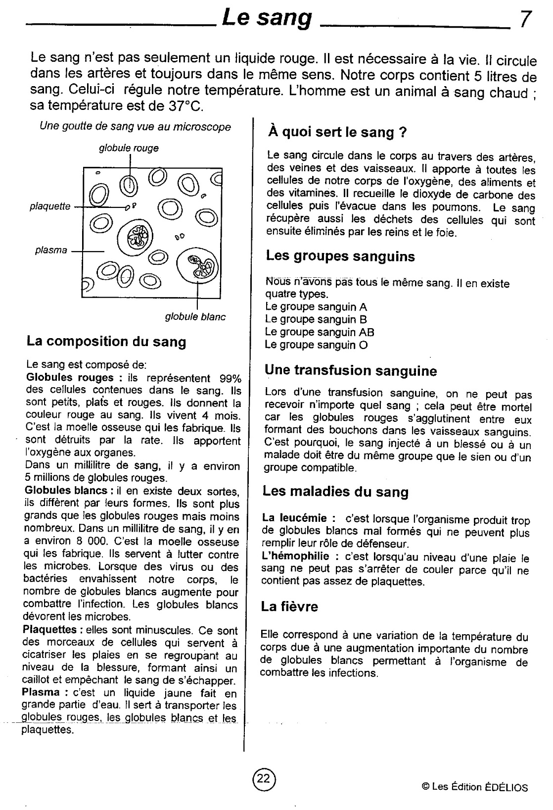 Lire la suite à propos de l’article S16 La circulation sanguine : le sang (Edelios fiche leçon)