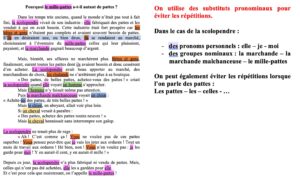 Lire la suite à propos de l’article CDO6 Contes des origines : Pourquoi le mille-pattes a-t-il autant de pattes? (travail sur les substituts correction)