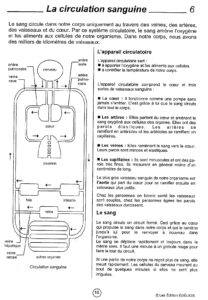 Lire la suite à propos de l’article S16 La circulation sanguine : leçon EDELIOS