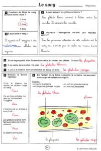 Lire la suite à propos de l’article S16 La circulation sanguine : le sang (Edelios fiche corrigée)