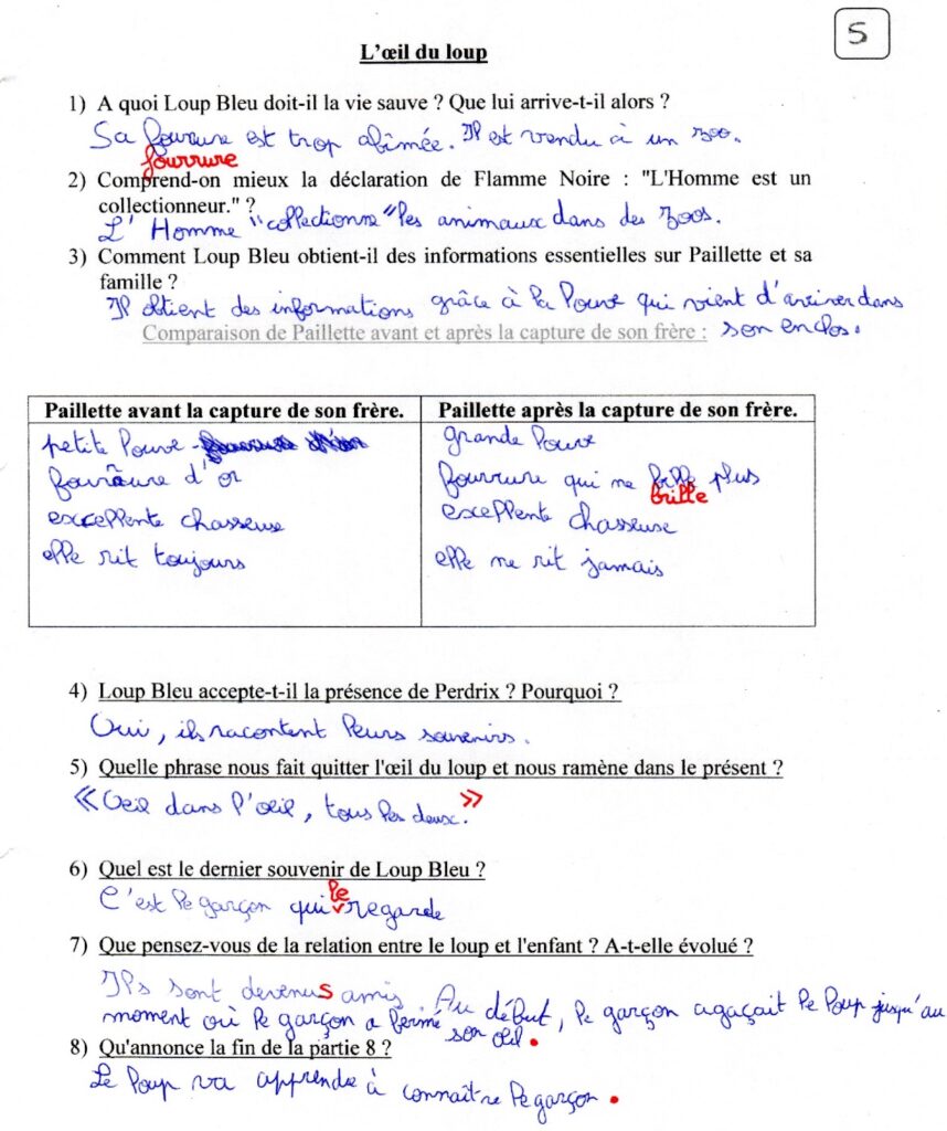 Fiche de travail sur l'oeil du loup