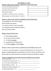 Lire la suite à propos de l’article G10 Les compléments d’objet direct COD : exercices Série 1 + Vidéo