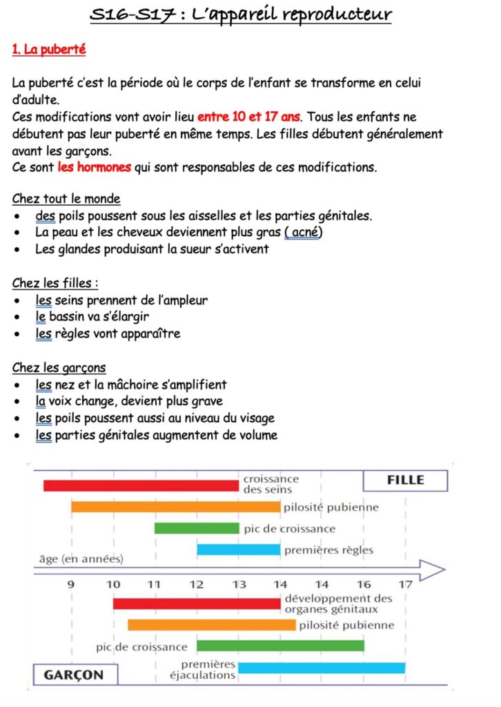 l'appareil reproducteur