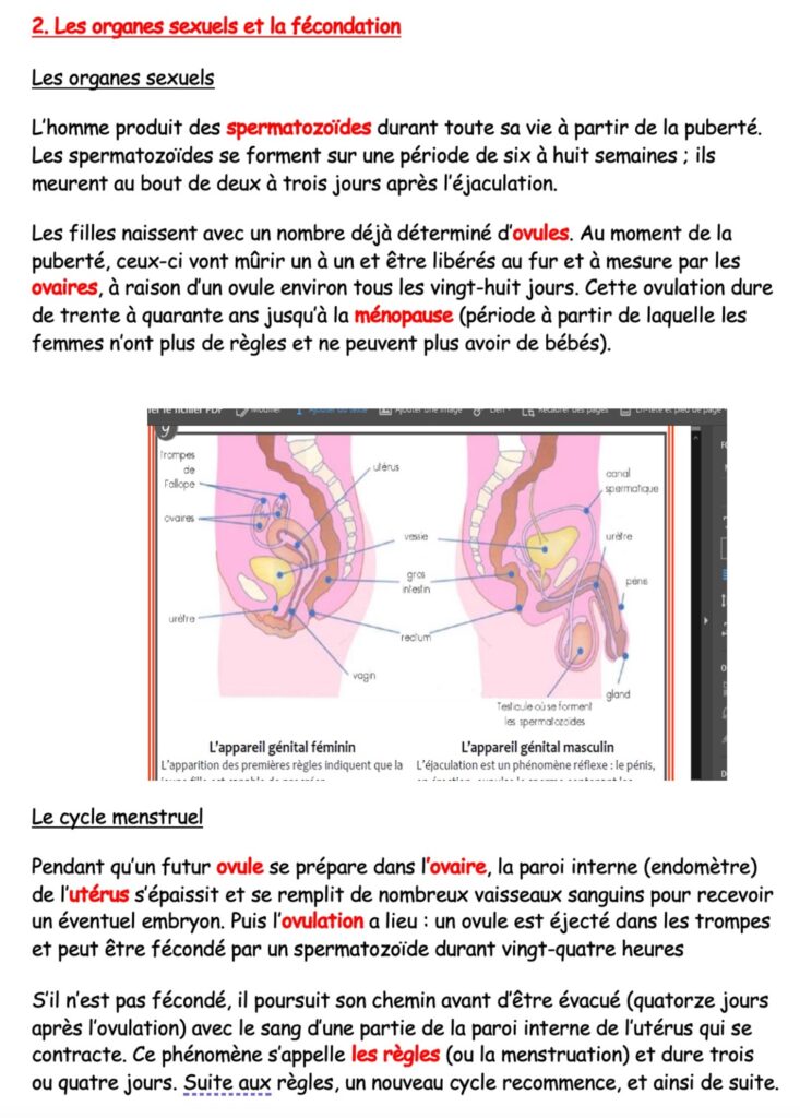l'appareil reproducteur